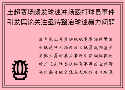 土超赛场频发球迷冲场殴打球员事件引发舆论关注亟待整治球迷暴力问题 土超赛场频发球迷冲场殴打球员事件引发舆论关注亟待整治球迷暴力问题