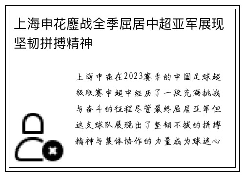 上海申花鏖战全季屈居中超亚军展现坚韧拼搏精神